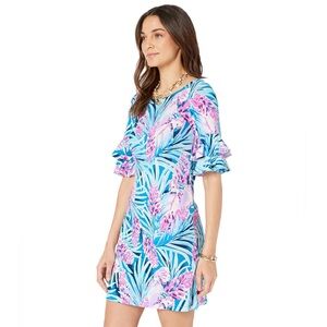 Lilly Pulitzer lula dress “Mr peacock blue tweethearts” size xl